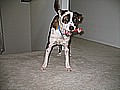 IMG_1876.jpg
