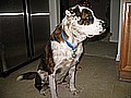 IMG_1895.jpg