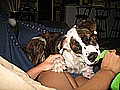 IMG_1956.jpg