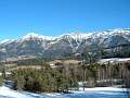 homejanuary1st2006013.jpg