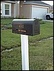 Picture154223AA.JPG