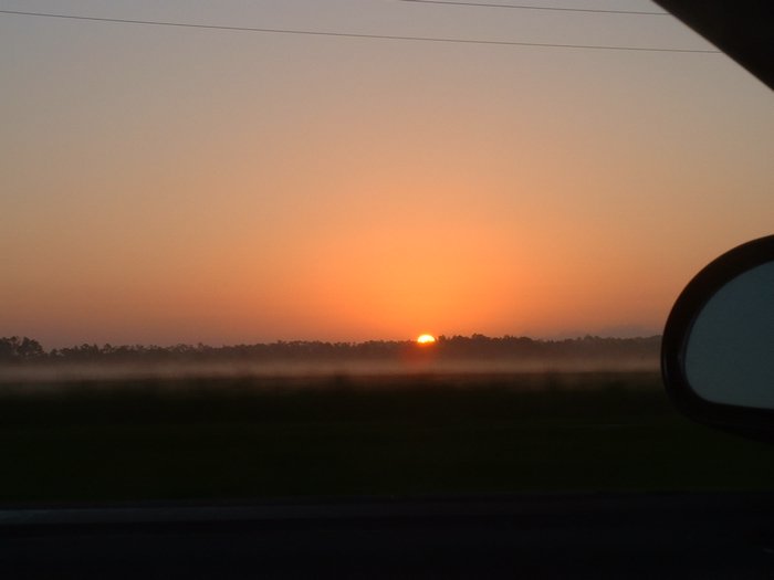 DSCF0003.JPG
