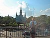 DSCF0102.JPG