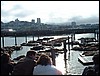 DSCF0046.JPG